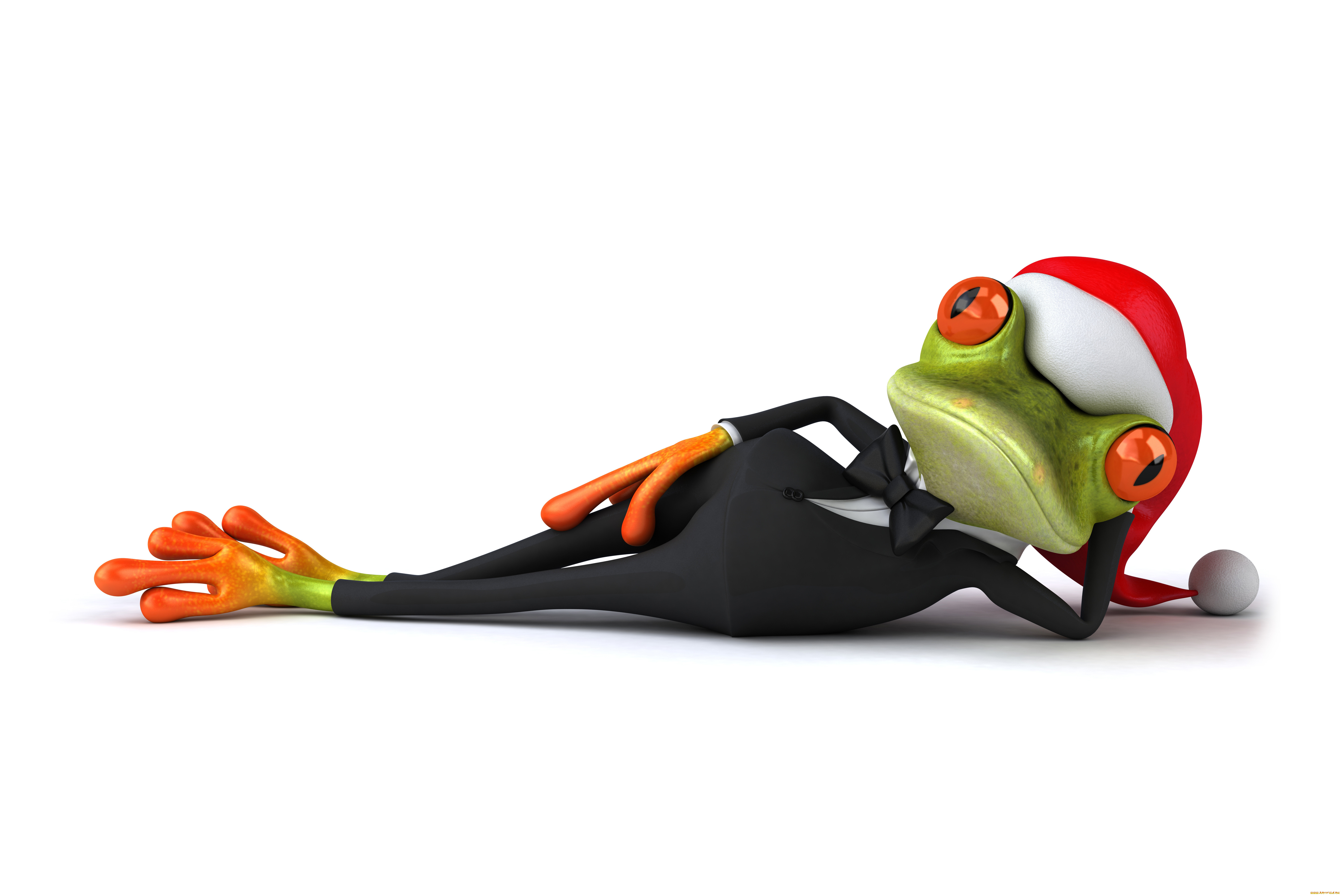 3 ,  , humor, , christmas, santa, hat, frog, unny